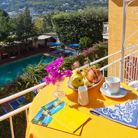 Cleopatra イスキア島